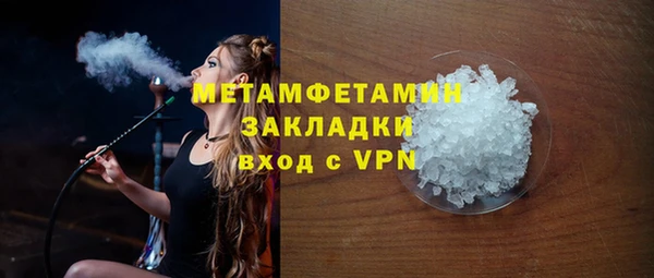 индика Каменногорск